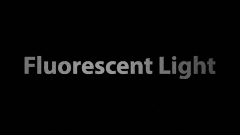 Fluorescent Light.ffx