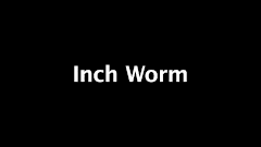 Inch Worm.ffx